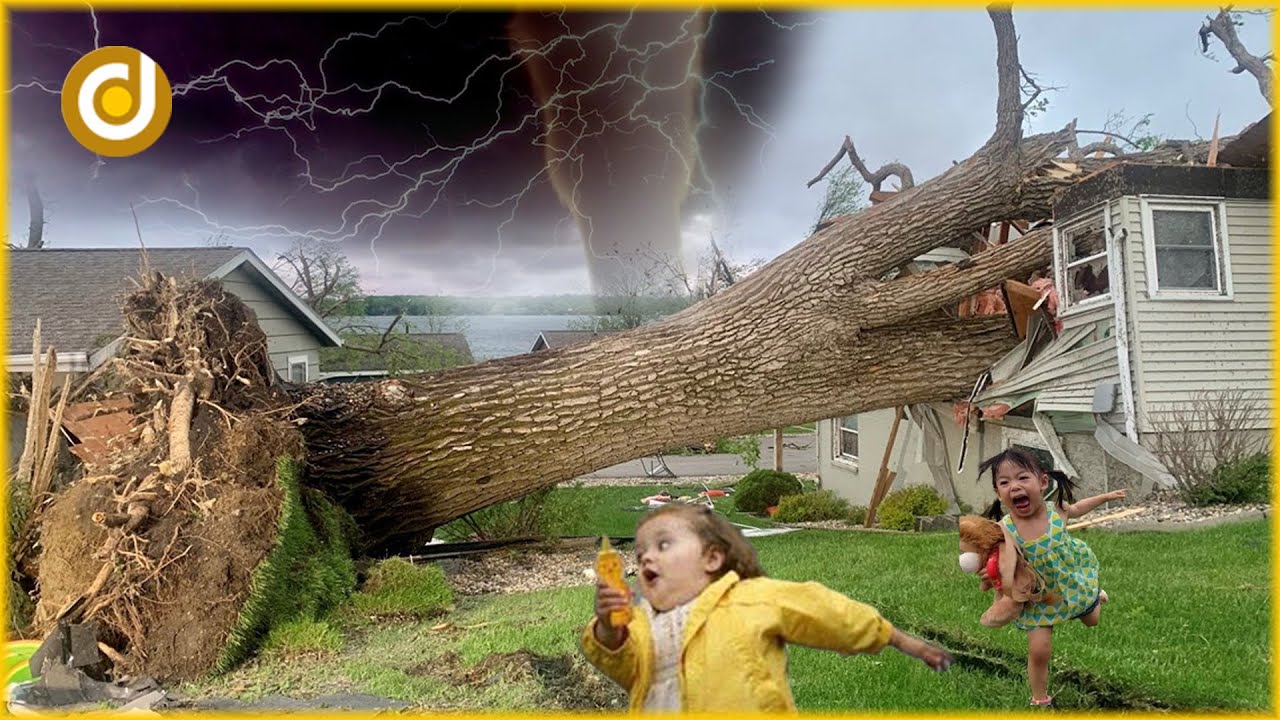 Essential Tree Cutting Tips: What NOT to Do When Felling Trees? - YouTube
