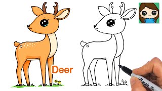 How to Draw a Deer 🦌