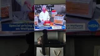 Cat thinks Wolfgang Puck is preparing lunch for him! by Pam DeGolyer 5 views 4 years ago 1 minute, 1 second