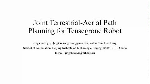 Joint Terrestrial Aerial Path Planning for Tensegrone Robot