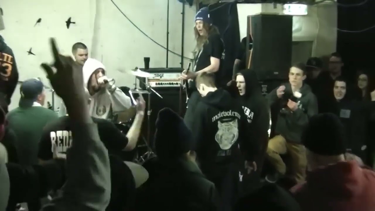 Desolated - Donfest 2013 - [03/23/2013]