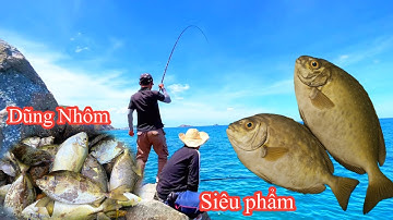 Câu Cá Ghềnh Biển Bén Cá Giò Dép Siêu Khủng Khiếp ở Dũng Nhôm