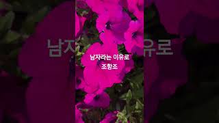 #남자라는 이유로 #조항조 #트롯트 #10대가수