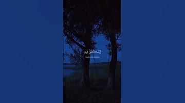 الم يروا انا جعلنا الليل ليسكنو فيه القارئ ياسر الدوسري #قرآن