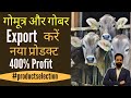 Export करें गोमूत्र और गोबर को | 400% Profit | Minimum Investment | No Competition #productselection