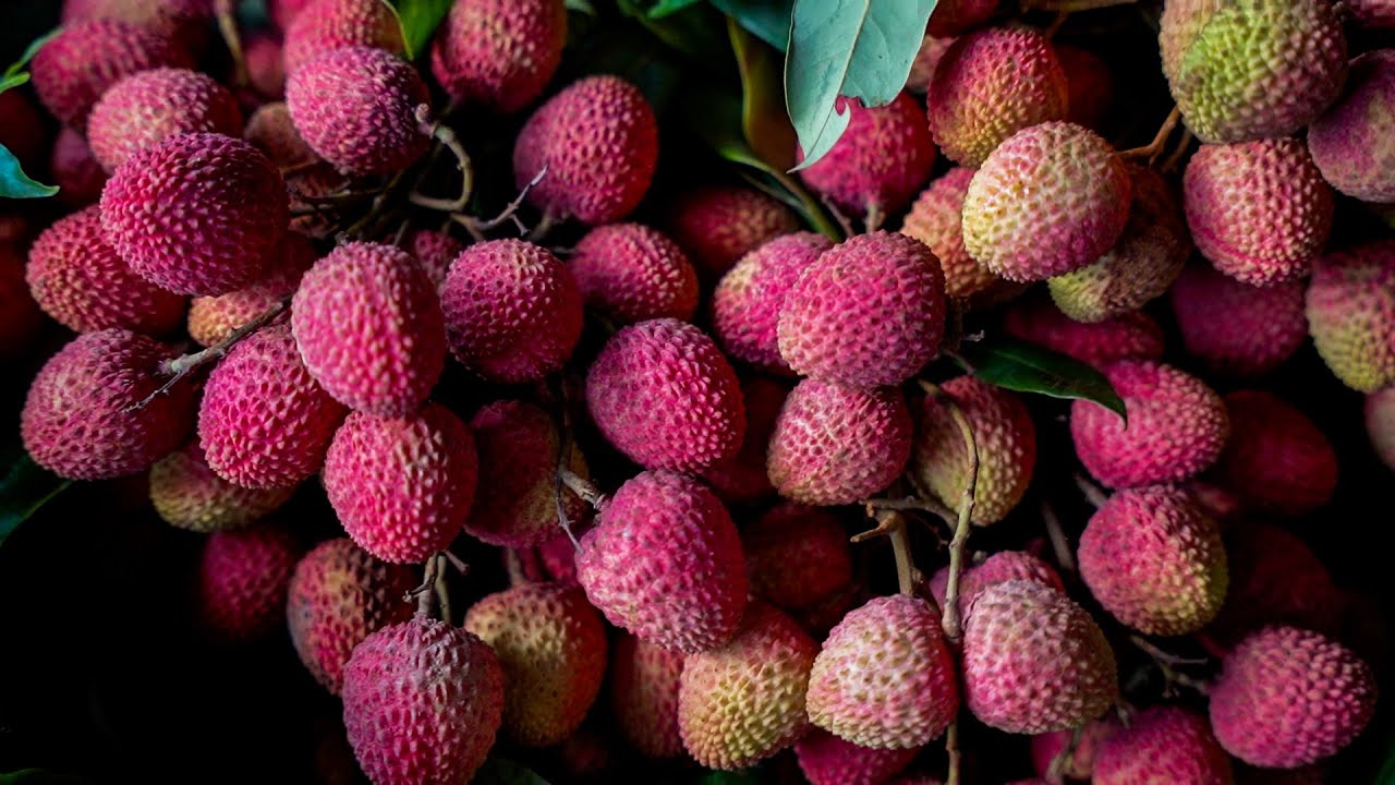 Litchi Bazar Of Dinajpur Bangladesh YouTube