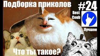 Подборка приколов #24 BEST COUB ЛУЧШЕЕ КУБЫ НЕДЕЛИ