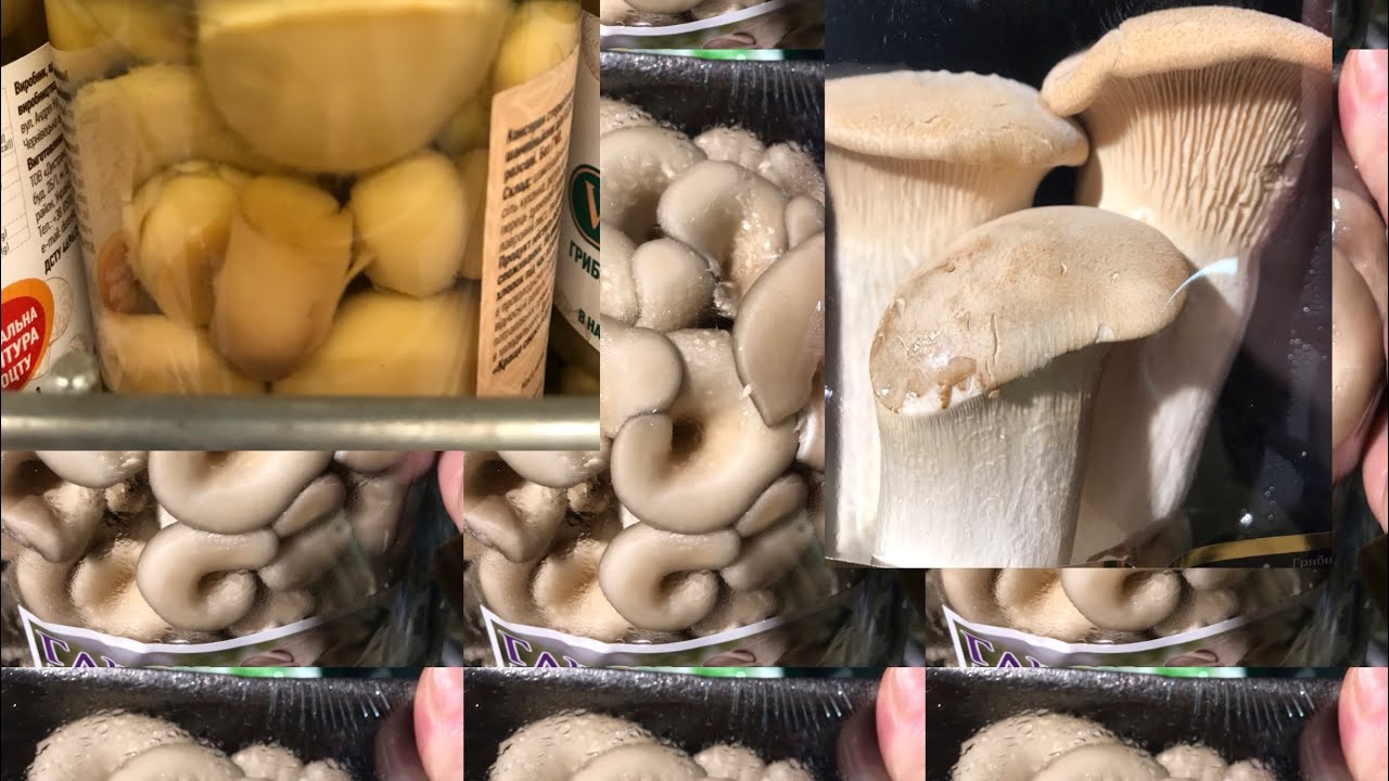 @ Яке ж велике різноманіття Грибочків. Та На різний Смак  та Гаманець. Є такі, що треба Спробувати .