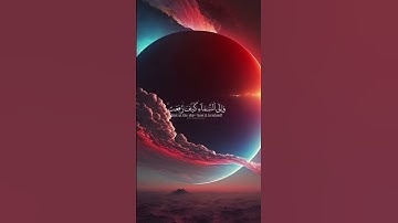 القرآن الكريم(افلا ينظرون إلى الإبل كيف خلقت) #قرآن #راحة_نفسية #quran #قران_كريم