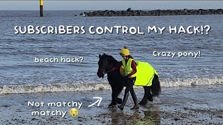 SUBSCRIBERS CONTROL MY HACK!? || Equestrian Lover