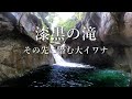 【秘境】漆黒の滝を目指して…山奥の隠れ渓流に潜む大イワナを求めて…【渓流釣り】