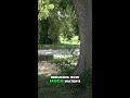 Trees Make Us Healthier!