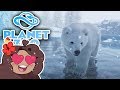 An ESCAPED Polar Bear Cub?!  🐏 Planet Zoo: Ice Ice Outpost • #40