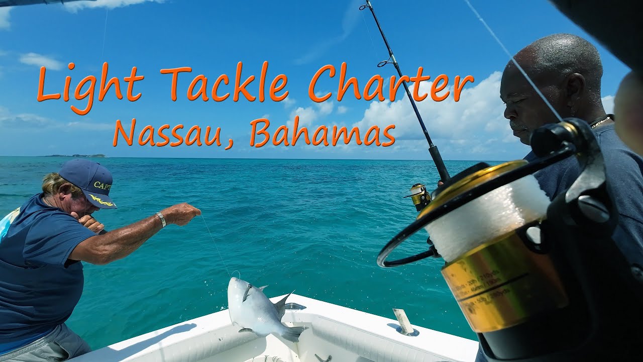 Light Tackle Fishing, Nassau, Bahamas YouTube