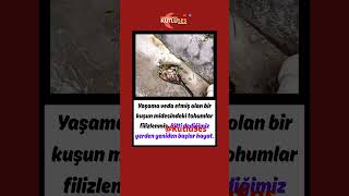 Bitti Dediğimiz Yerden Yeniden Başlar Hayat..