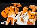 Porque Mentiste - Luisito Muñoz, Los Emigrantes (Official Music Video)