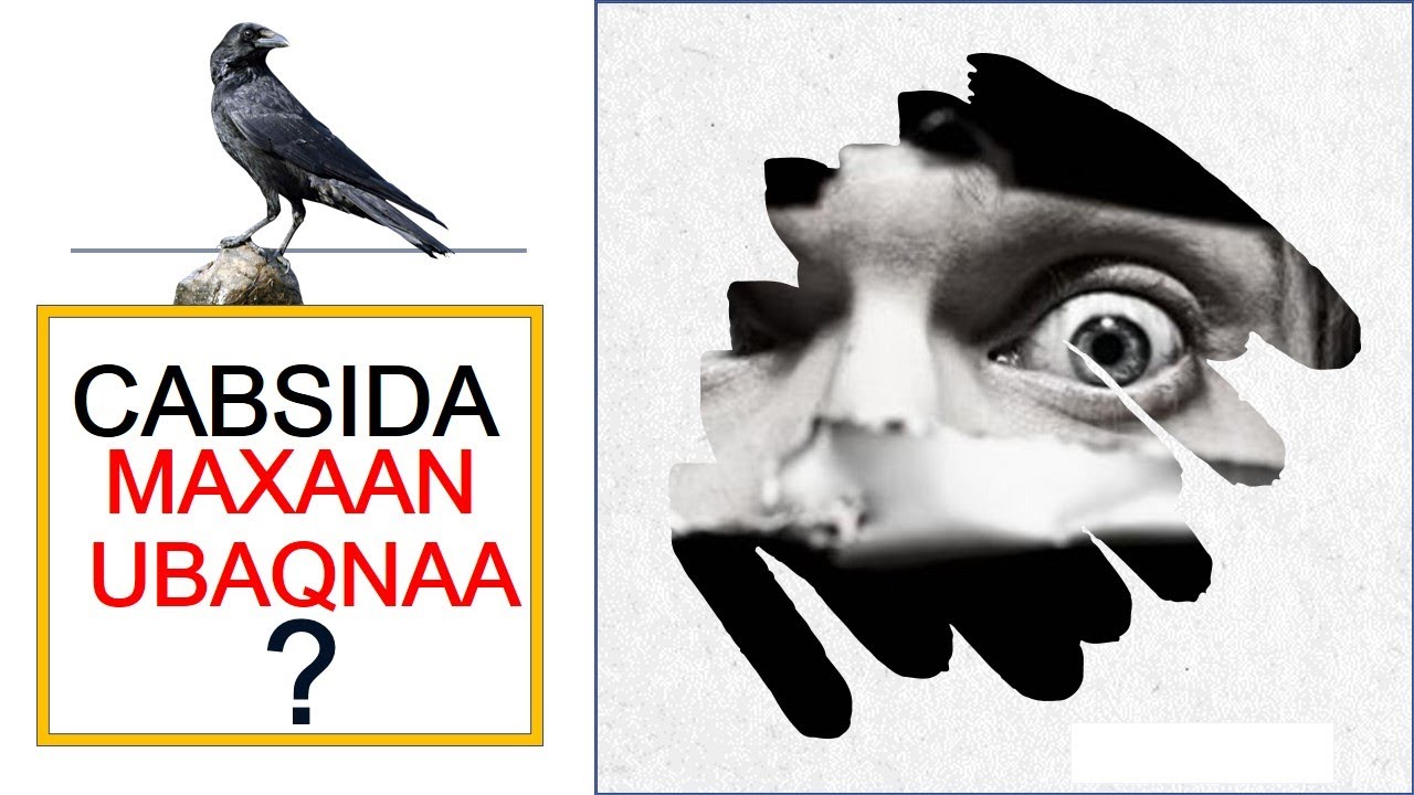 Cabsida | Maxaan ubaqnaa | sideen ula tacaamulnaa cabsida |