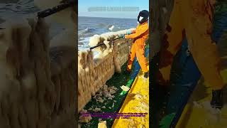 Clearing Ship Edge Ice！Marine Safety Operation (Wear Full Protection) #MarineMaintenance #SafetyTips