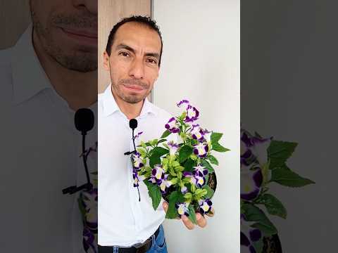 3 consejos para