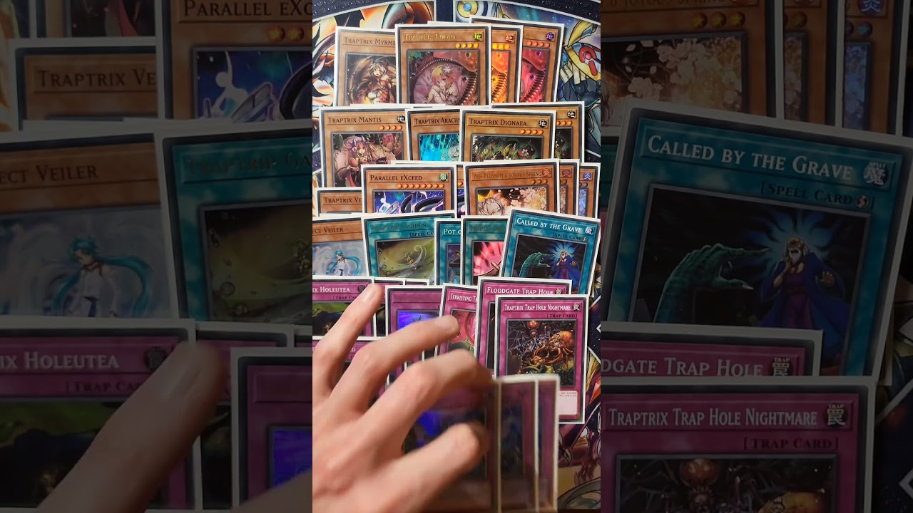 Yu-Gi-Oh Traptrix Deck Profile in 60 Seconds 
