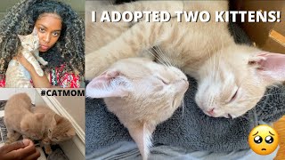 I ADOPTED TWO KITTENS!! Vlog | Caché Bisasor