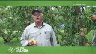 Meet Your Neighbor...McLeod Farms South Carolina Peaches