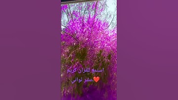 قران كريم صلي على محمد صلى الله عليه وسلم