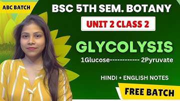 Glycolysis Pathway BSc 3rd year 5th semester unit 2 in Hindi & English 🔥💯| Plant physiology