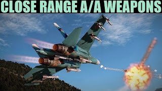 Su-27, Su-33, Mig-29 & J-11A: ACM Short Range Missile/Gun Tutorial | DCS WORLD