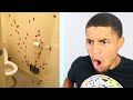 Top 10 GROSSEST Infestations That Will Make You Scream! REACTION!