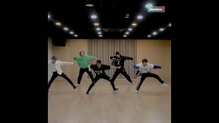 New Rules Dance Practice Why Is It So Satisfying ?