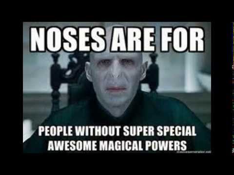 harry-potter-fans-must-see-these-voldermort-memes