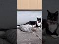 艶男さん探し、昨日の続き#続編