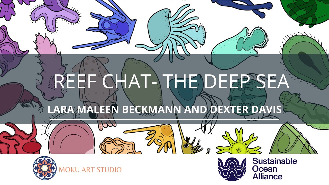 Reef Chat: Deep-Sea Baby Creatures