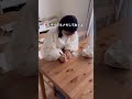 ダイソーだけでベビー服の衣替え完了✨サイズアウトした服も種類ごとに分けやすくて、かなりスッキリ整理できた☺️ベージュ系の収納だから部屋にも馴染みやすい◎見た目もスッキリして大満足でした🧺🤍