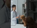 Making Preventative Care Easier