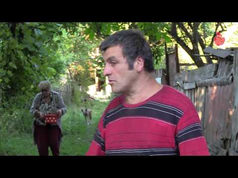 სოფელ იმერხევში დენის გაყვანამ მიგრაციის პრობლემა ვერ მოაგვარა