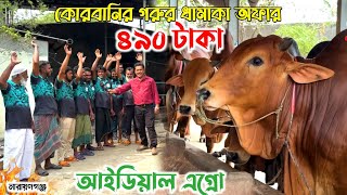 ৪৯০ টাকা ধামাকা অফারে কোরবানির বড় বড় গরু! আইডিয়াল এগ্রো, নারায়ণগঞ্জ! cow farm in Bangladesh