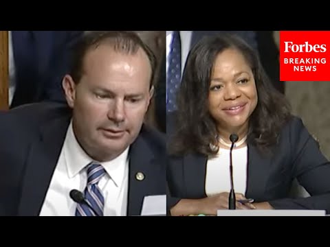 'What Exactly Is Racist About Requiring' Voter ID?: Lee Questions Clarke On Voting Law In Hearing