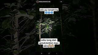 #shorts #horrorshorts #creepy #scary #paranormal #ghost #haunted #caughtonlive #jumpscare #horror