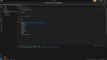 Error with Sui Move Analyzer