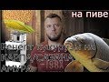 РЕЦЕПТ КУКУРУЗЫ / кукуруза для рыбалки /ДЛЯ ПРИКОРМКИ И НАСАДКИ / КАК ВАРИМ КУКУРУЗУ МЫ