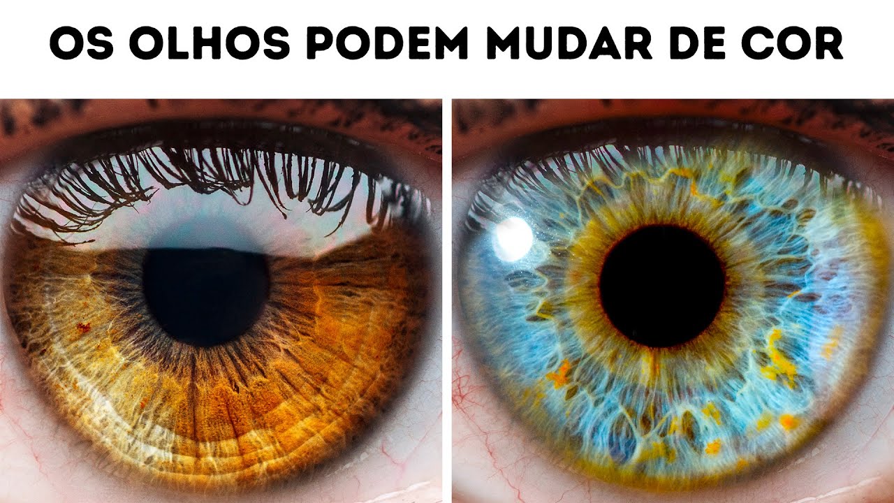 Mais De 100 Fatos Sobre O Corpo Humano Que Provam Que Não Temos Limites