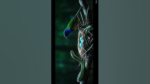 Bird vs Snake 🕊️vs 🔥🐍 Ai Shorts #birds​ #nature​ #wildlife​