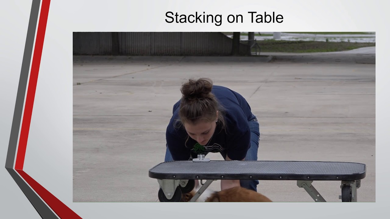 Stacking on Table - YouTube