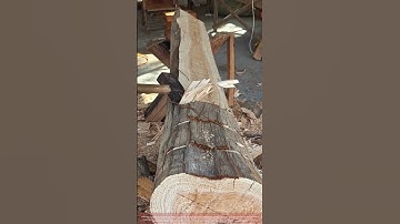 Hewing a Log: Creating a Flat Plane with Precise Axe Strikes