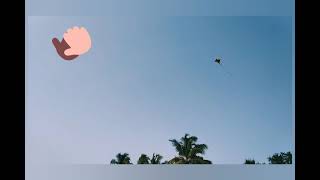 A kite flies against the wind not with it.