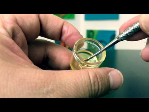 Goli Gummies Better Sleep Weight Loss Great Skin Shorts