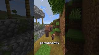 What Happens If You Kill A Iron Golem In A Village? #minecraft