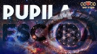 PUPILA ESCURA PARA VER A LUZ! 👁 Canalizado por Comandante Athom